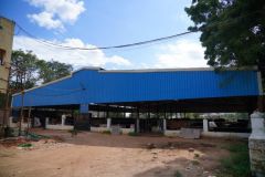SNP00247