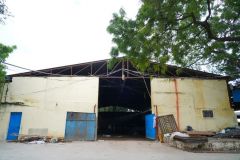 SNP00266