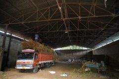 SNP00269