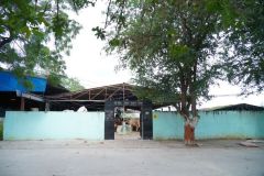 SNP00275