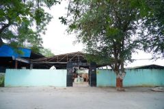 SNP00276
